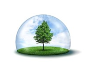 Tree_Bubble